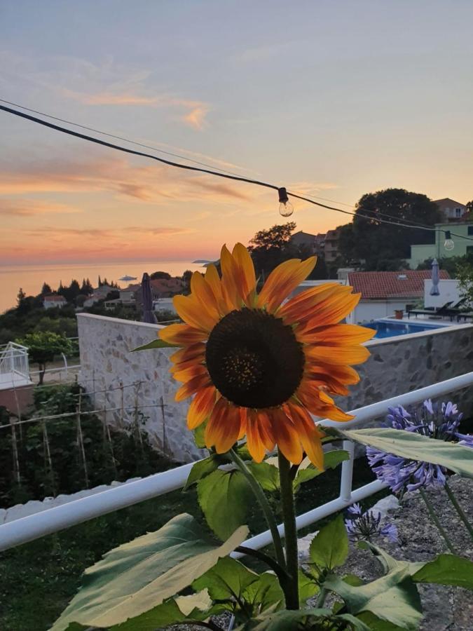 Apartmani Ana Mlini Buitenkant foto