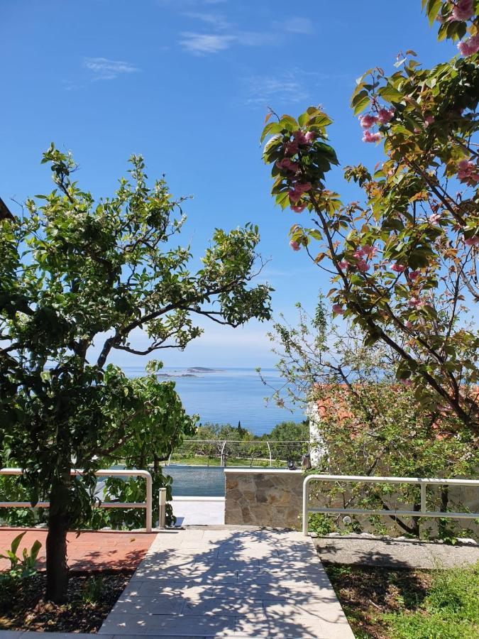 Apartmani Ana Mlini Buitenkant foto