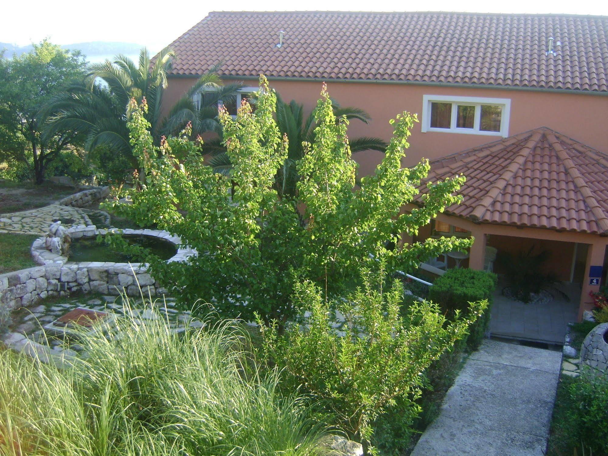 Apartmani Ana Mlini Buitenkant foto