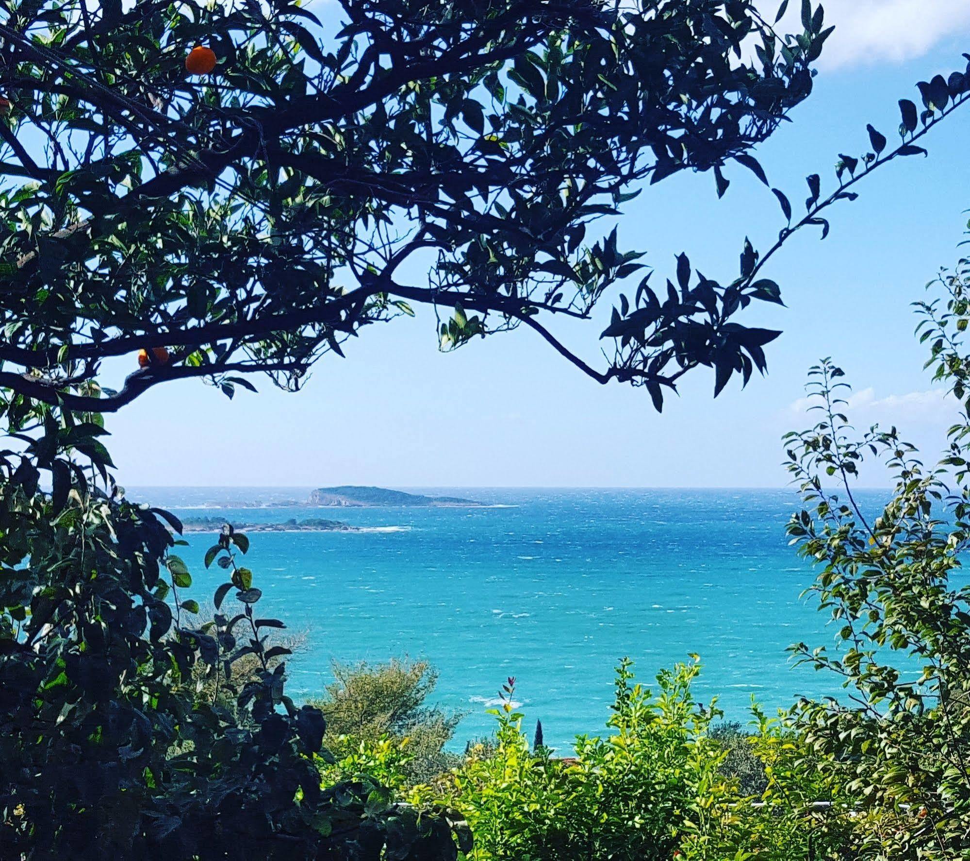 Apartmani Ana Mlini Buitenkant foto