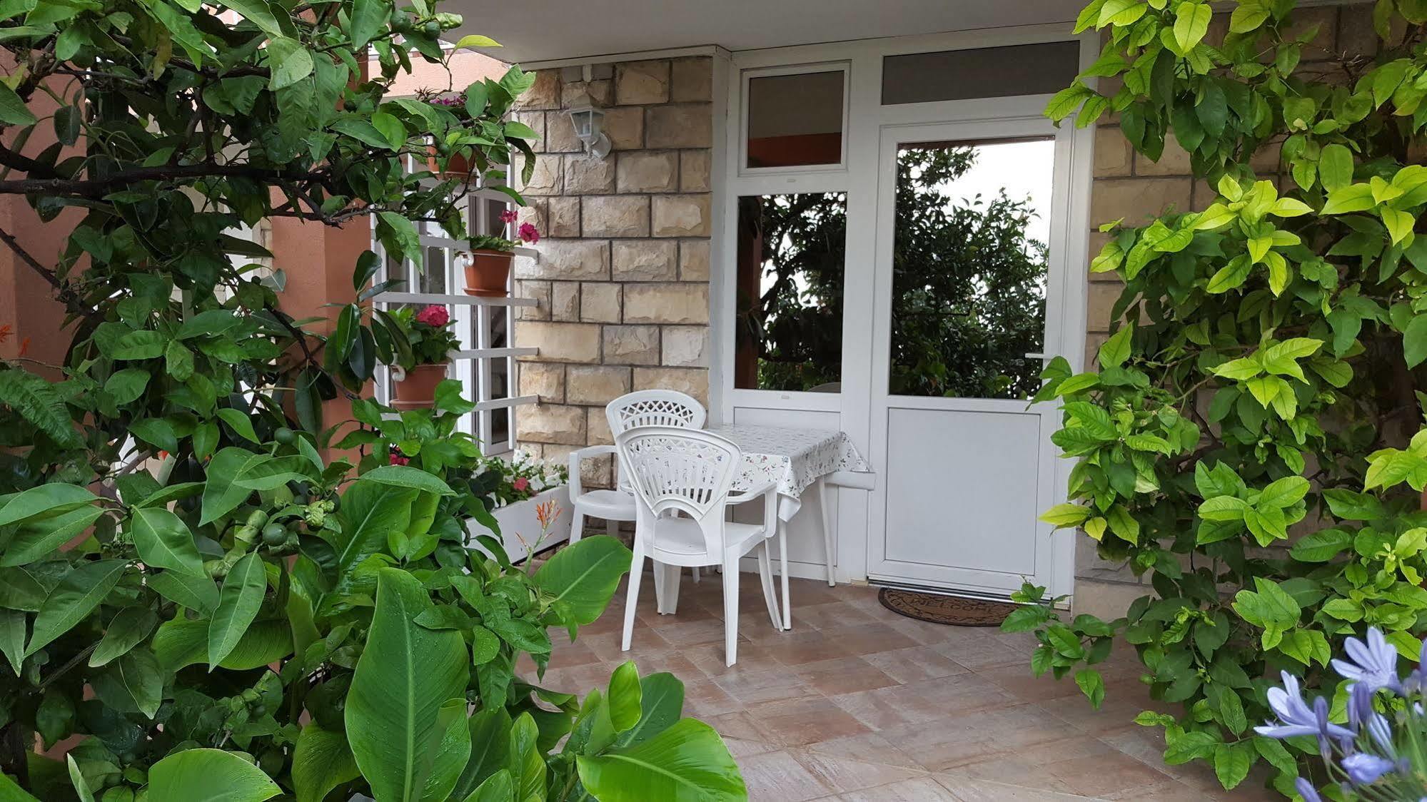 Apartmani Ana Mlini Buitenkant foto