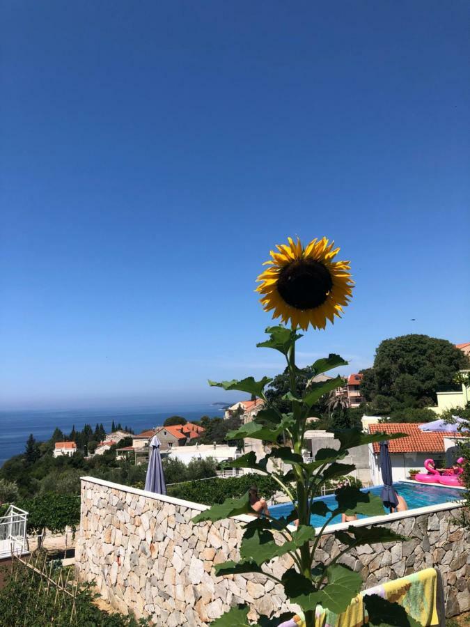 Apartmani Ana Mlini Buitenkant foto